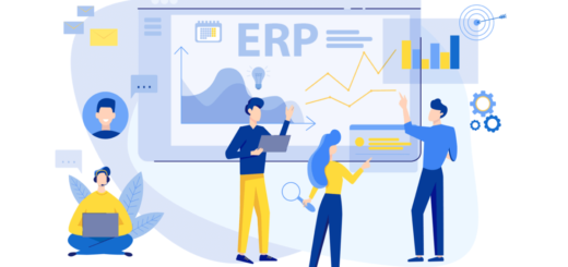 Web based erp solutions